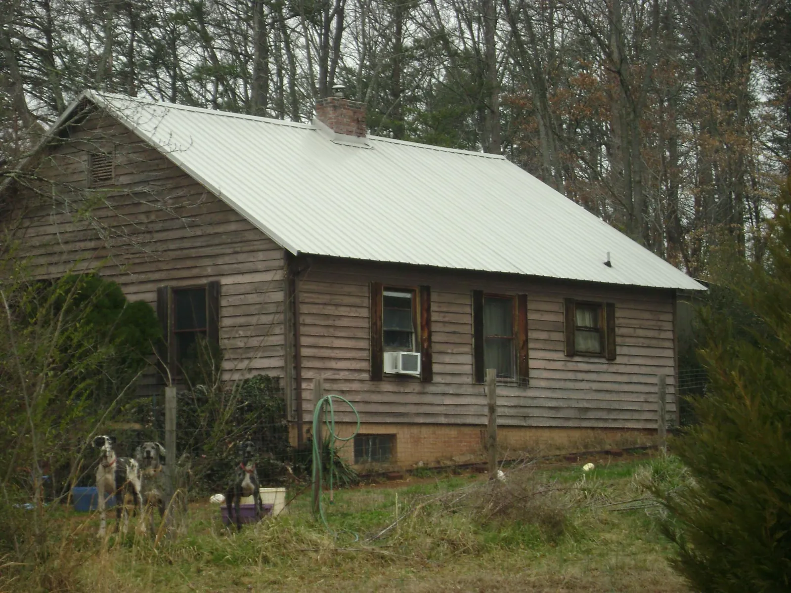 White metal roof on an old wood sided farmhouse, from a Asphalt Shingle Roof Repair job in Caliente